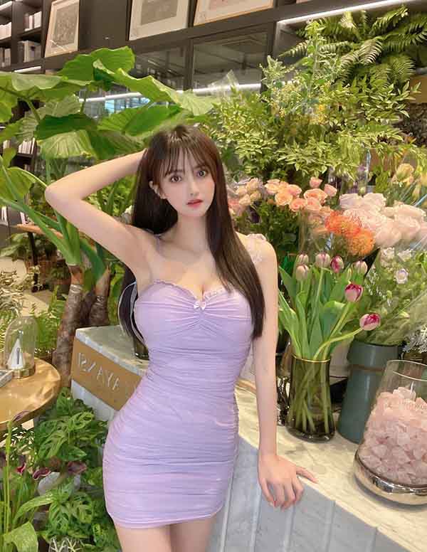 芝加哥伴游预约